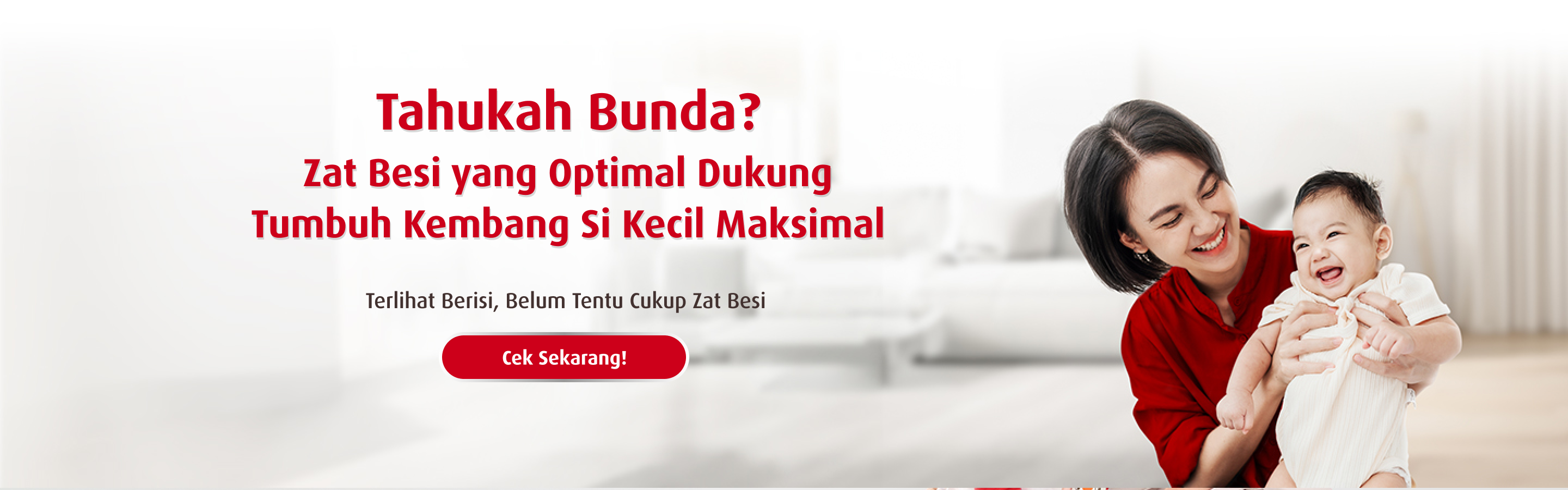 Banner Zat Besi