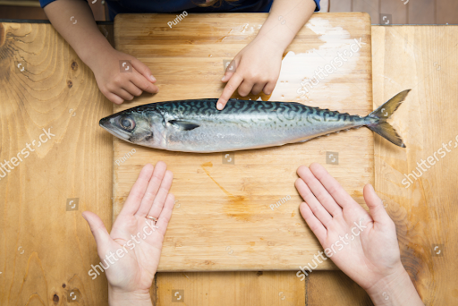 Cover Image of 10 Ikan yang Tidak Boleh untuk MPASI, Tinggi Merkuri!