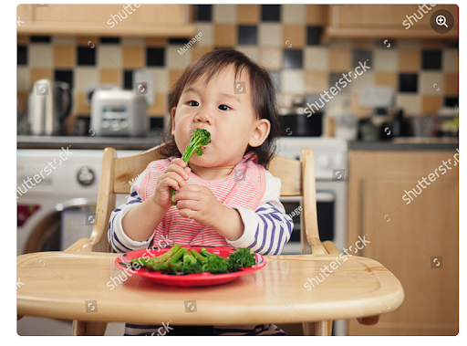 Cover Image of 9 Pilihan Protein Nabati untuk MPASI Bayi yang Lezat & Bergizi